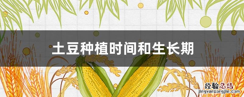 南方土豆种植时间和生长期 土豆种植时间和生长期