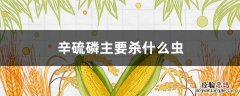 高氯辛硫磷主要杀什么虫 辛硫磷主要杀什么虫