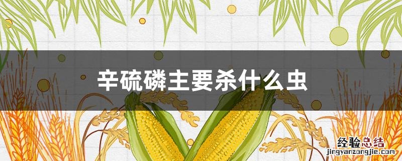 高氯辛硫磷主要杀什么虫 辛硫磷主要杀什么虫