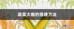 蔬菜大棚的搭建方法 蔬菜大棚的搭建方法图片