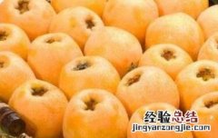 什么人不能吃枇杷蜂蜜 什么人不能吃枇杷