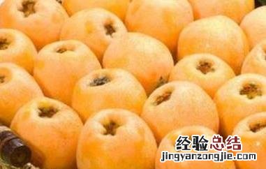 什么人不能吃枇杷蜂蜜 什么人不能吃枇杷