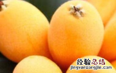 女人吃枇杷的好处与功效 女人吃枇杷的好处