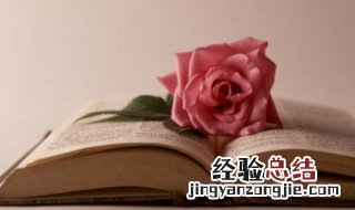 鼠窃狗偷的意思是什么 狗盗鼠窃的由来
