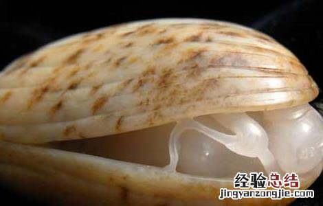 河蚌怎么吃最好吃烧汤 河蚌怎么吃最好