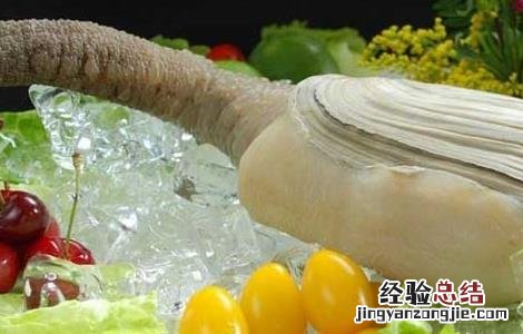 象拔蚌的做法大全家常 象拔蚌的做法大全