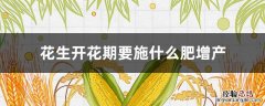 花生开花期施肥多少量才合适 花生开花期要施什么肥增产