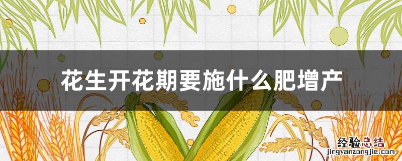 花生开花期施肥多少量才合适 花生开花期要施什么肥增产