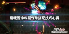 暖雪珍珠凝气草怎么搭配