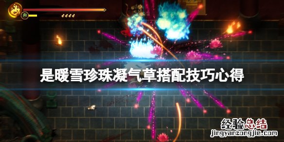 暖雪珍珠凝气草怎么搭配