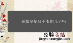 秦始皇是吕不韦的儿子吗 秦始皇吕不韦介绍