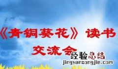 青铜葵花第一章节梗概 青铜葵花第一章主要讲了什么内容