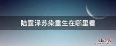 陆霆泽苏染重生在哪里看
