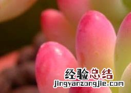 八千代官网 八千代图片
