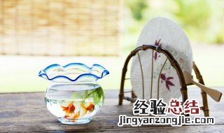 什么鱼招财镇宅 什么鱼能招财