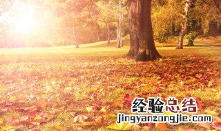 有关秋天的诗句 古人描写秋景的诗歌大全
