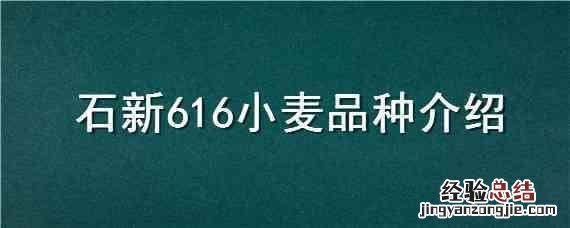 石新616小麦品种介绍 石新6171小麦品种