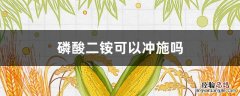 磷酸二铵能喷施吗 磷酸二铵可以冲施吗