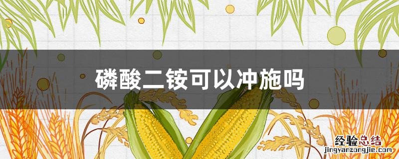 磷酸二铵能喷施吗 磷酸二铵可以冲施吗