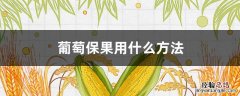 葡萄保果用什么工具 葡萄保果用什么方法