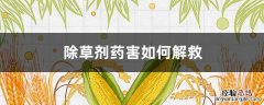 除草剂药害如何解救 乙草胺除草剂药害如何解救