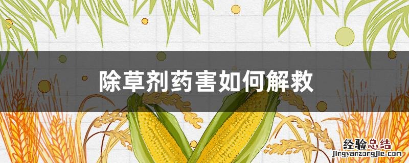 除草剂药害如何解救 乙草胺除草剂药害如何解救