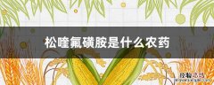 松喹氟磺胺是什么农药影响来来年玉米 松喹氟磺胺是什么农药