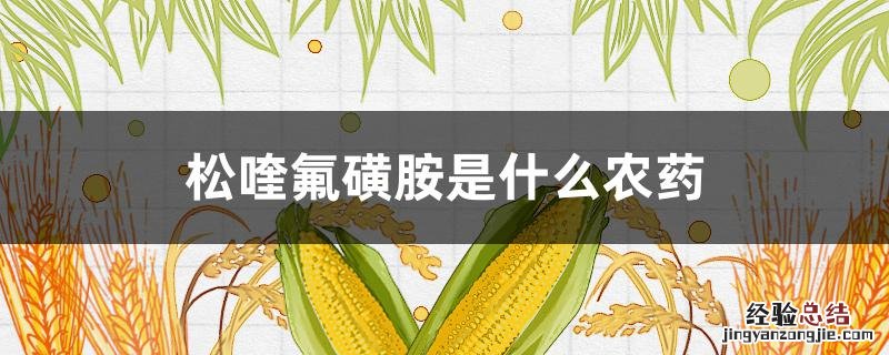 松喹氟磺胺是什么农药影响来来年玉米 松喹氟磺胺是什么农药