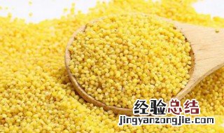 小米粥有点苦是怎么回事 小米粥有点苦怎么回事