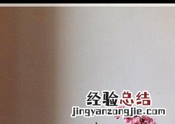 盆栽梅花开花后怎么管理视频 盆栽梅花开花后怎么管理