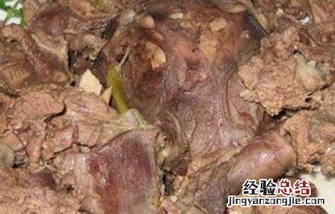 狍子肉怎么做好吃