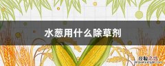 水葱用什么除草剂 小葱用什么除草剂