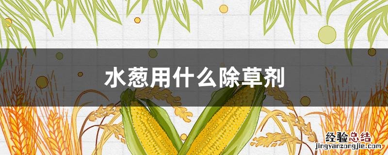 水葱用什么除草剂 小葱用什么除草剂