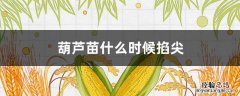 葫芦苗什么时候掐尖 种植葫芦什么时候掐尖