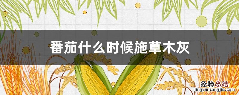 番茄开花时可施草木灰吗 番茄什么时候施草木灰