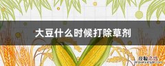 大豆什么时候打除草剂 大豆什么时候打除草剂最好