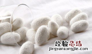 蚕丝的主要成分是蛋白质吗 蚕丝中主要是哪种蛋白