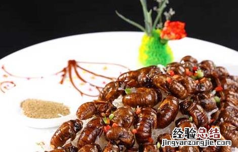 蝉蛹的做法大全 凉拌蝉蛹的做法大全