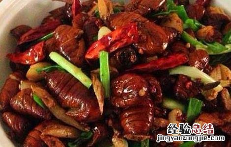 蝉蛹的做法大全 凉拌蝉蛹的做法大全