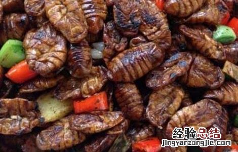 蝉蛹的做法大全 凉拌蝉蛹的做法大全