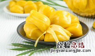 菠萝蜜不适宜什么人吃 哪些人不能吃波罗蜜