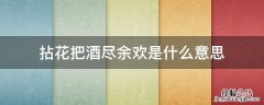 拈花把酒尽余欢是什么意思 拈花把酒度余年