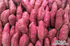 广东红薯最佳收获时间，什么时候成熟