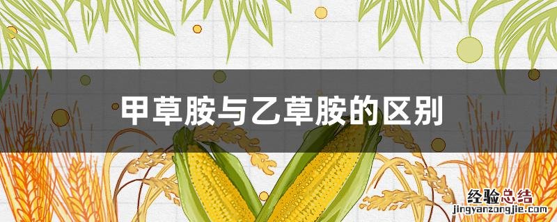 乙草胺与甲草胺及丁草胺的区别 甲草胺与乙草胺的区别