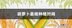 胡萝卜最晚种植时间 胡萝卜最晚种植时间浙南
