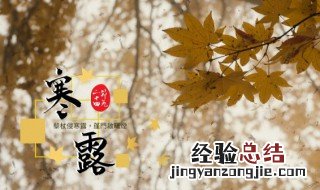 寒露节气的特点是什么 寒露节气的特点有什么
