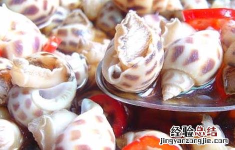 麻辣花螺的做法大全 花螺的做法大全