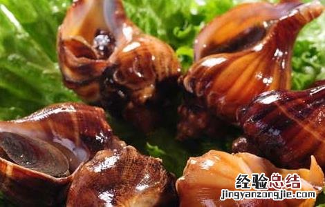海螺的做法大全 盐水海螺的做法大全