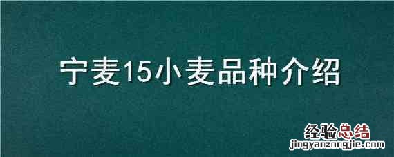 宁麦26品种特性 宁麦15小麦品种介绍