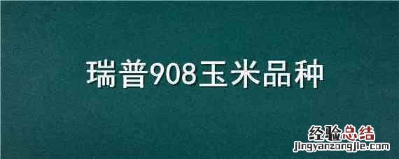 瑞普908玉米品种 瑞普908玉米品种国审定公告